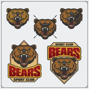 标签 标志和设计元素的体育俱乐部与熊头