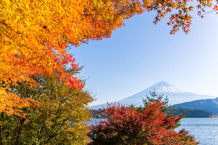 富士山在秋天的季节