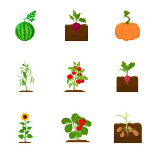 植物在卡通风格中设置图标。植物矢量符号股票图大集合