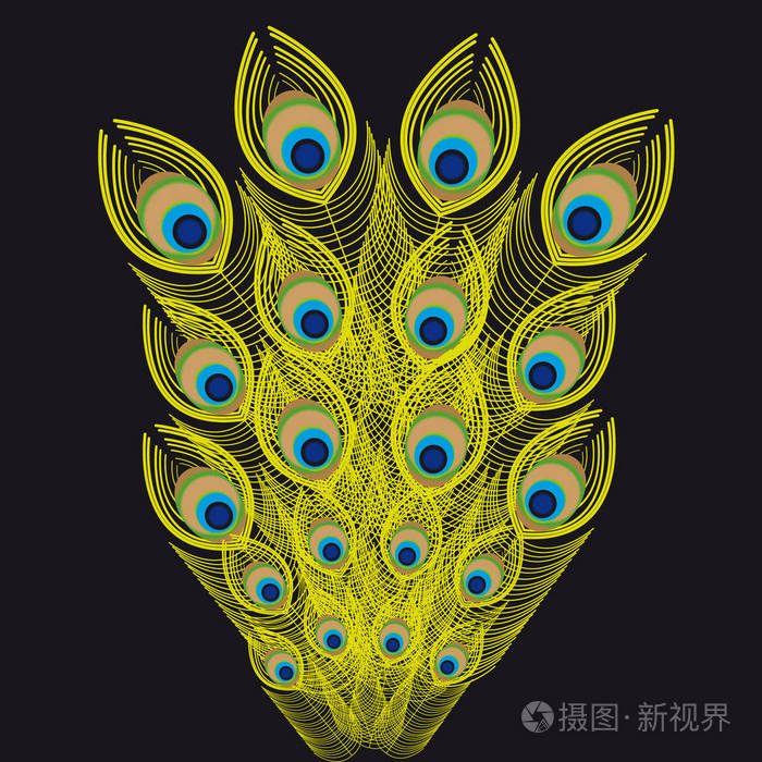 黑色背景上的孔雀羽毛