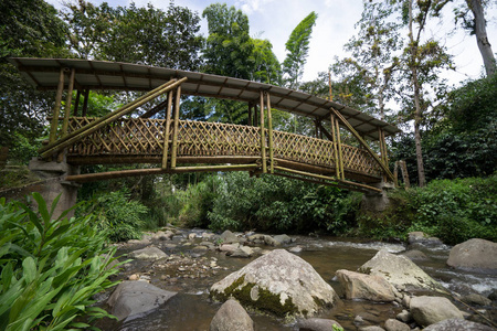 哥伦比亚的竹桥