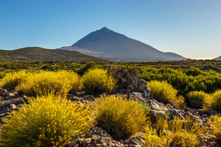 金丝雀岛,西班牙特内里费岛的泰德火山的落日
