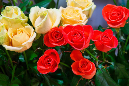 美丽的玫瑰，花店发售