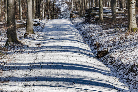 可爱的冰冻路径。冬天的乡村。雪林。可爱的木头