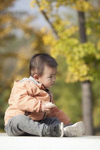 可爱的小宝贝男孩玩前的银杏树
