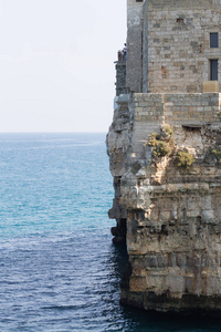 意大利阿普利亚，Polignano 一匹母马查看