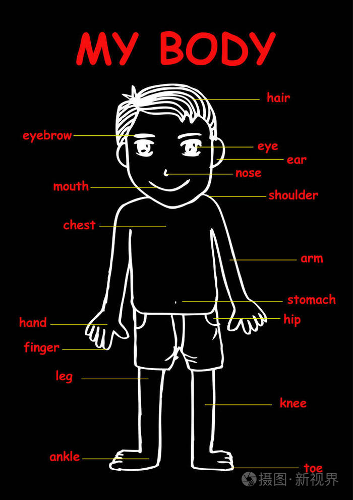 我的身体,为教育信息图形图表孩子显示一个可爱的卡通男孩人体部位