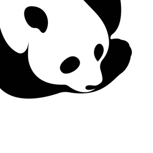 向量的白色背景上的熊猫设计。野生动物