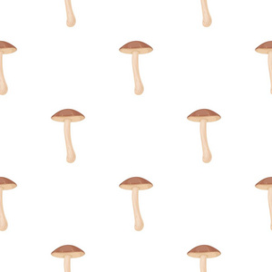 棕色盖牛肝菌图标在白色背景上孤立的卡通风格。蘑菇模式股票矢量图