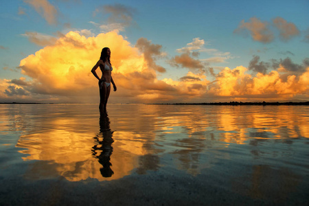 对 Taveuni Islan 日落时站在水中的剪影的女人