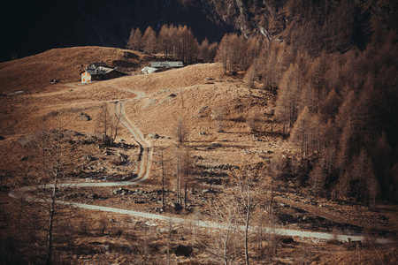 在阿尔卑斯山景观