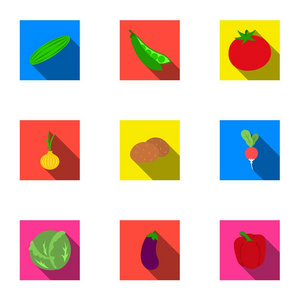 蔬菜在平面样式中设置图标。蔬菜的大集合矢量符号股票图