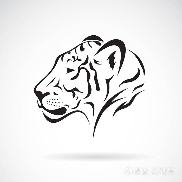 白色背景上的虎头的向量.野生动物