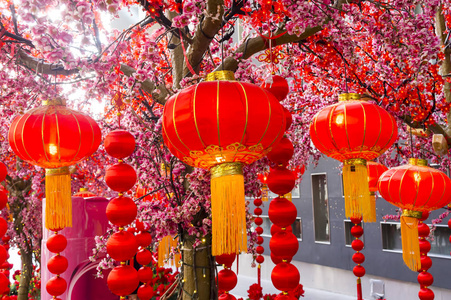 在春节期间的中国灯笼图片