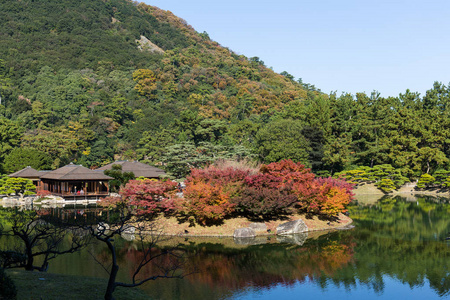 日本栗林花园在秋天