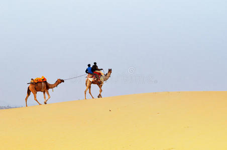沙丘上的骆驼图片