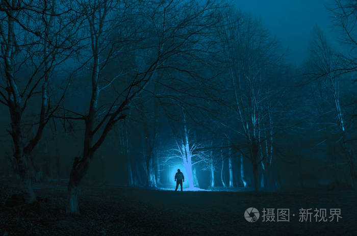 奇怪的剪影在黑暗的幽灵森林夜间 神秘的景观超现实主义的灯光与恐怖