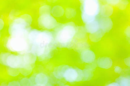 阳光抽象绿色自然背景，选择性聚焦