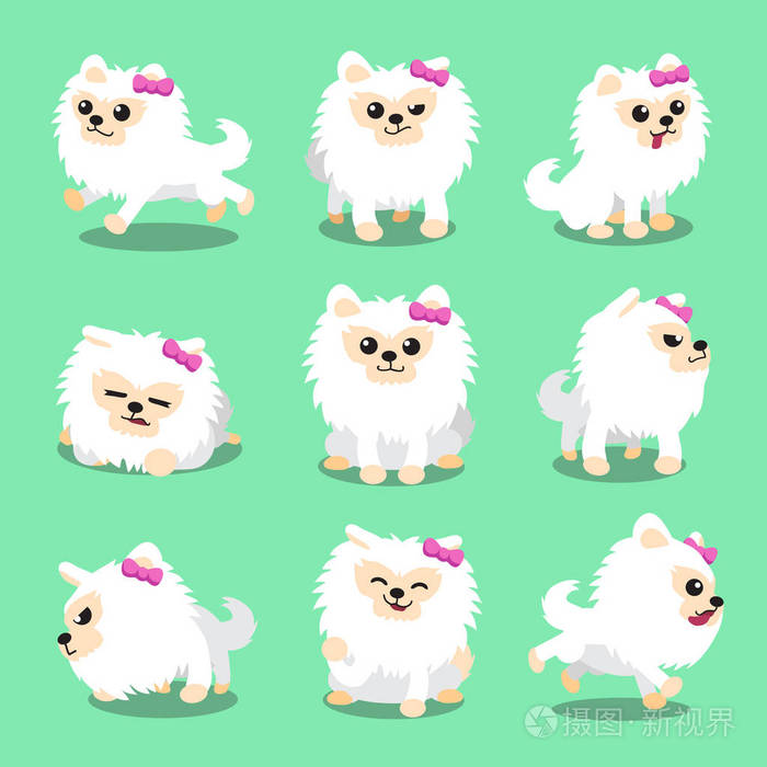 卡通人物白博美犬狗姿势