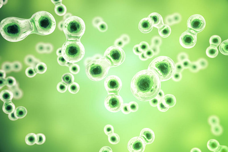 绿色单元格背景。生活与生物学 医学科学 分子生物学研究 dna。3d 渲染
