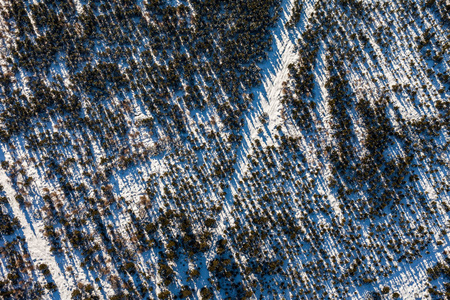 下雪的冬天，在山中