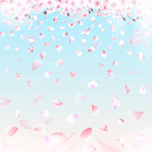 盛开的樱花。春天的背景。下降的粉红色的樱花花瓣。Eps 10 矢量