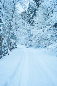 冬天降雪后路