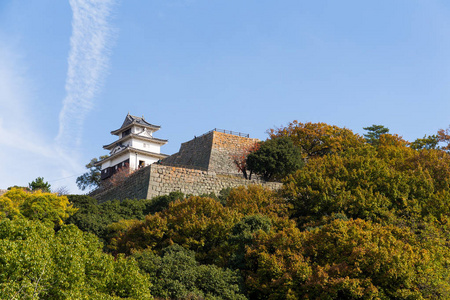 日本丸龟城堡