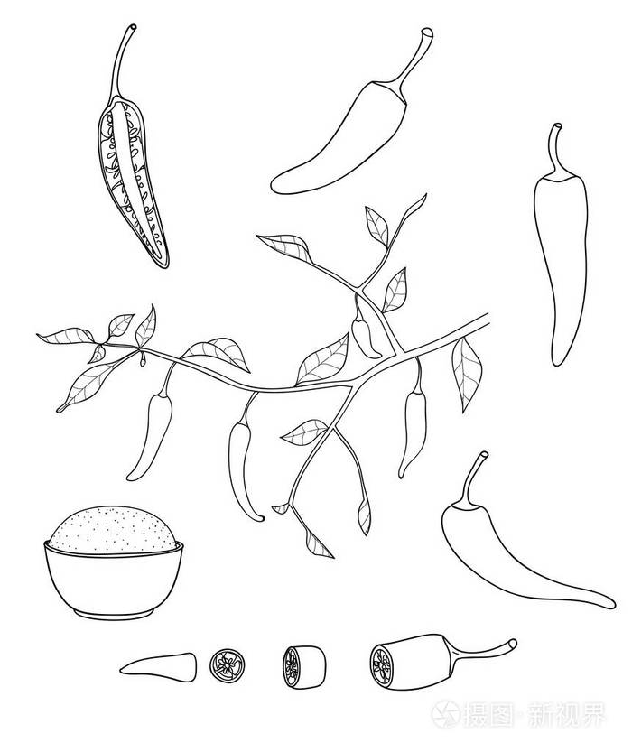 红辣椒矢量集的线艺术插图
