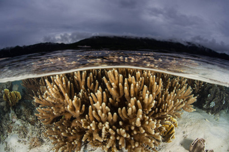珊瑚，云系和偏远岛屿拉贾安帕