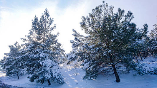 生活中的雪