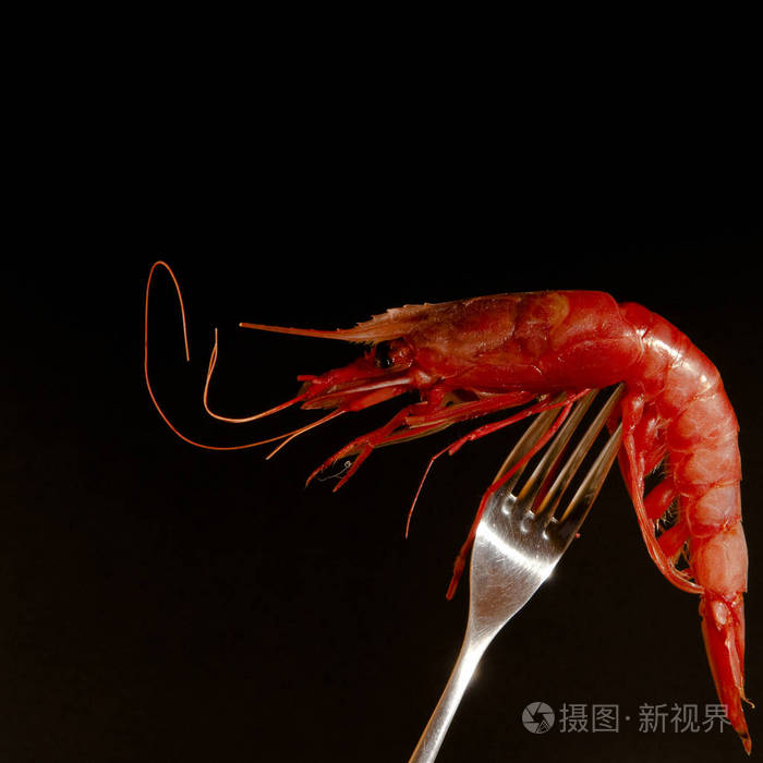 在黑色背景叉子上红鲜虾