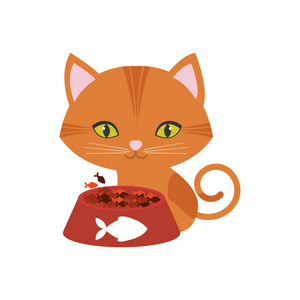 橙色的猫绿色的眼睛板食用鱼打印
