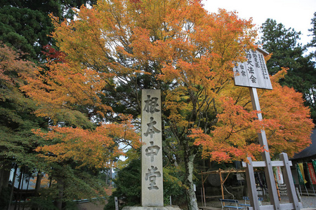 美丽的秋天，秋天风景京都，日本