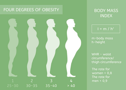 肥胖的阶段。身体质量指数。图表