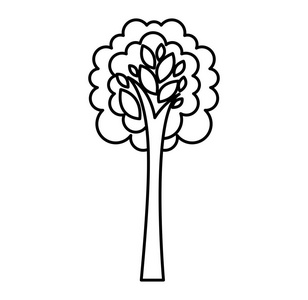 树植物孤立的图标