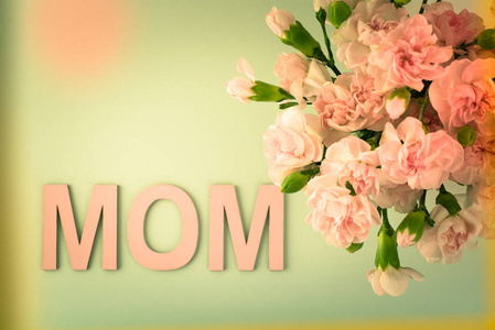 粉色康乃馨对母亲的一天