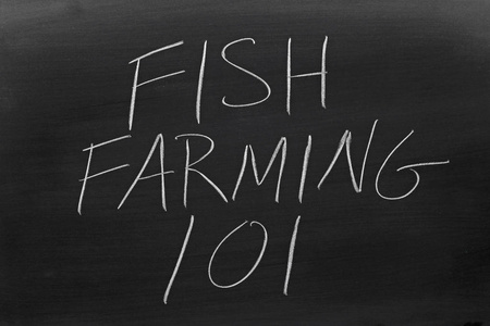 鱼类养殖在黑板上 101