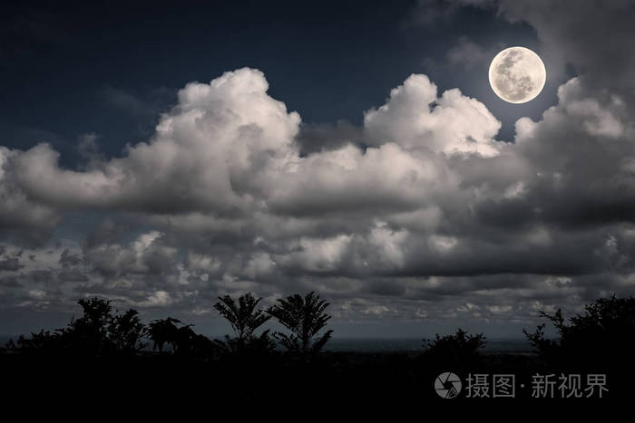 树和夜间天空布满乌云,皎洁的月亮的轮廓
