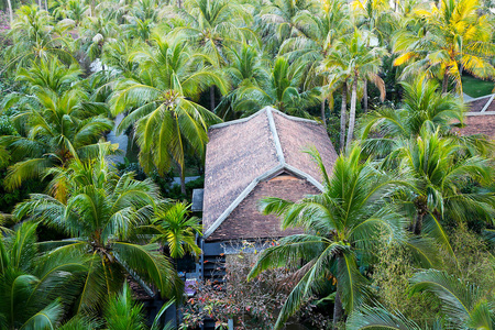 森林里的小屋