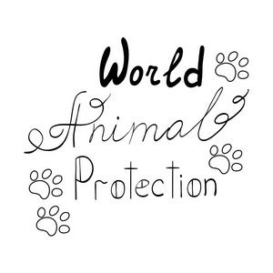 手绘刻字的一句话世界动物保护。T 恤 海报 卡的版式设计。矢量图