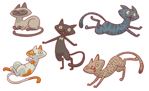 组的不同可爱的五只猫