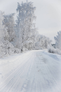 冬天俄罗斯森林雪路