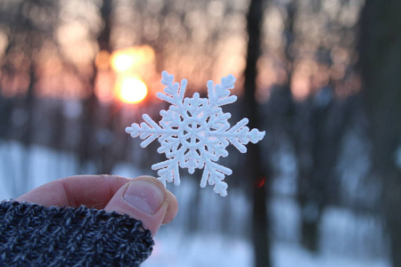 霜冻的概念, 手拿着雪花