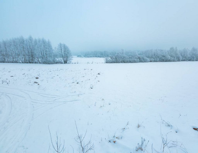 波兰农村冬季多雾景观