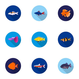 观赏鱼在平面样式中设置图标。水族馆的鱼大集合矢量符号股票图