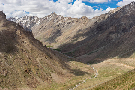 在繁花似锦的季节，Ladakkh 地区，印度 Leh