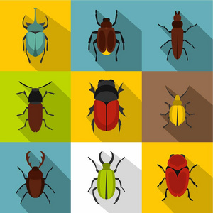 种类的甲虫图标集，平面样式