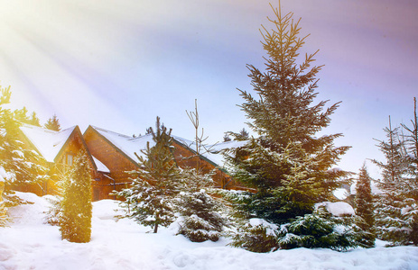 白雪皑皑的绿树环绕的木结构房屋