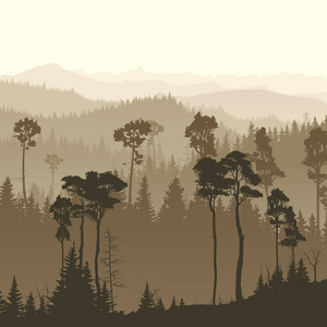广场的雾气弥漫的森林群山的插图